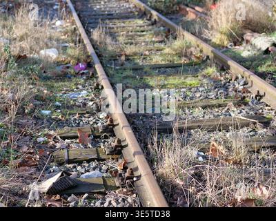 Gros plan des voies ferrées rouillées abandonnées envahies par les mauvaises herbes et l'herbe. Vieux rails de train avec traverses en bois et déchets dans une zone industrielle urbaine Banque D'Images