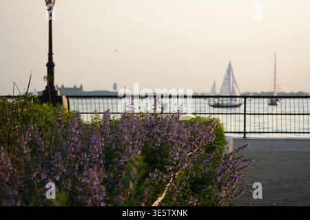 New York, États-Unis - 30 mai 2019 : Battery Park à Lower Manhattan Banque D'Images