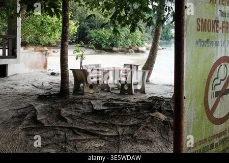Banc côtier se trouve sous les palmiers. La saleté et les racines entourent la zone des sièges. Rivière coule à proximité, calme et large. Le panneau avertit contre le tabagisme dans le Banque D'Images