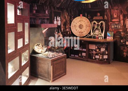 Les vitrines en bois contiennent divers artefacts. Le boîtier en verre contient une grande coquille fossilisée. Horloge ronde accrochée à un mur sombre et décoré. Les éléments sont assis o Banque D'Images
