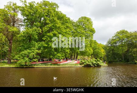 Lisse, pays-Bas - 15 mai 2016 : célèbre parc de Keukenhof avec des expositions de tulipes colorées, des parterres de fleurs en fleurs et des jardins paysagers au sommet de la mer printanière Banque D'Images