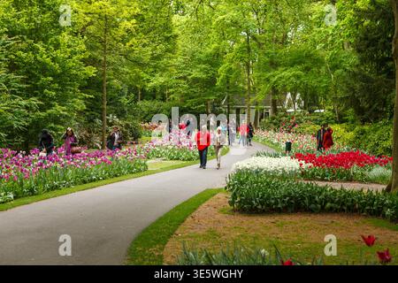 Lisse, pays-Bas - 15 mai 2016 : célèbre parc de Keukenhof avec des expositions de tulipes colorées, des parterres de fleurs en fleurs et des jardins paysagers au sommet de la mer printanière Banque D'Images