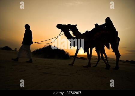 Qatar, Mesaieed : une balade à dos de chameau au coucher du soleil sous un ciel orange dans le désert qatari près de Sealine Beach Banque D'Images