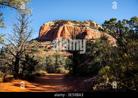 Paysage de canyon de roche rouge avec sentier du désert et pins Banque D'Images