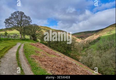 Grimper petit lot sur le long Mynd, Little Stretton, Church Stretton, Shropshire Banque D'Images