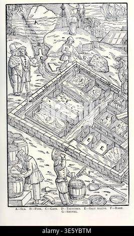 Illustration de la récolte historique du sel dans les bassins d'évaporation, les ouvriers ratissant, collectant et emballant le sel dans des barils. De Georgius Agricola de Re metallica traduit de la première édition latine de 1556 par Agricola, Georg, 1494-1555, gravure par Basilius Weffring Banque D'Images
