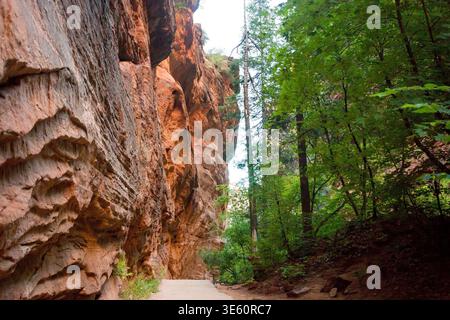 De hautes falaises de grès le long du West Rim Trail jusqu'à Angels Landing dans le parc national de Zion, Utah Banque D'Images