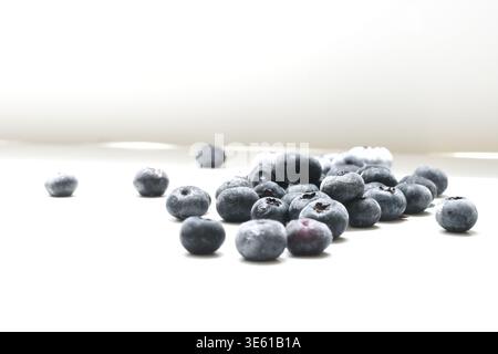 Bleuets congelés disposés sur une surface blanche, soulignant leur couleur bleu foncé et leur texture givrée. Idéal pour les concepts de nourriture saine, antioxydant Banque D'Images