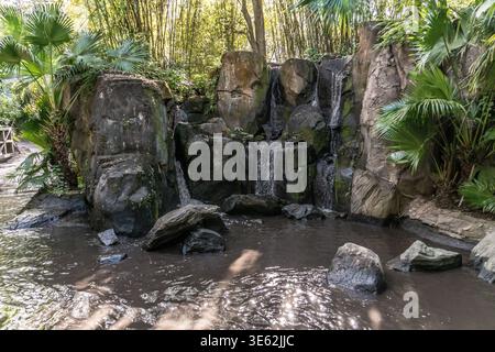 Une petite cascade est entourée de rochers et de plantes. L'eau est trouble et les rochers sont grands Banque D'Images