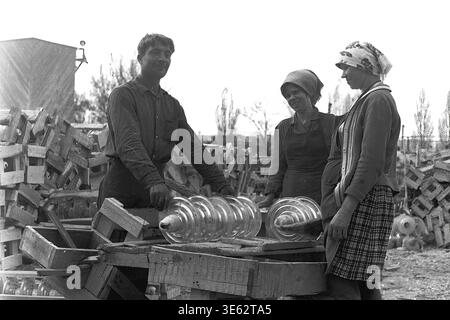 Slavyansk, années 1970, usine d'armature-isolant. Une équipe de trois travailleurs, un homme et deux femmes, sont engagés dans l'emballage manuel de grands isolateurs de suspension en verre transparent dans des caisses en bois. La zone extérieure de l'entrepôt est remplie de piles d'équipements électriques finis et de matériaux d'emballage en bois. Une authentique photographie d'archives historiques transmettant l'esprit du travail industriel soviétique physique collectif, la vie quotidienne de fabrication de routine, la dynamique d'équipe amicale et l'atmosphère du Donbass paisible. Banque D'Images
