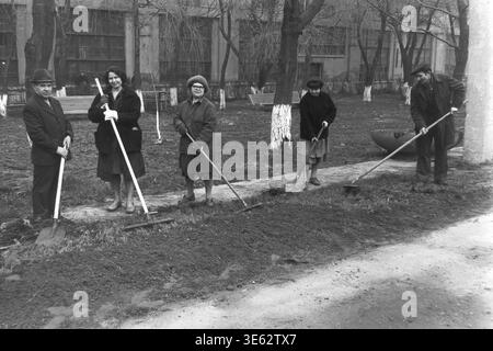 Slavyansk, 17 avril 1982, armature-isolateur usine. Une équipe de cinq ouvriers d'usine, hommes et femmes, utilise des pelles et des râteaux pour niveler le sol dans un espace vert extérieur pendant le sous-botnik communiste. Ils améliorent le territoire de l'usine près des arbres avec des troncs peints en blanc un jour de printemps. Une authentique photographie d'archives historiques véhiculant l'esprit du travail bénévole collectif, la vie quotidienne industrielle soviétique authentique, le travail d'équipe amical et l'atmosphère du Donbass paisible. Banque D'Images