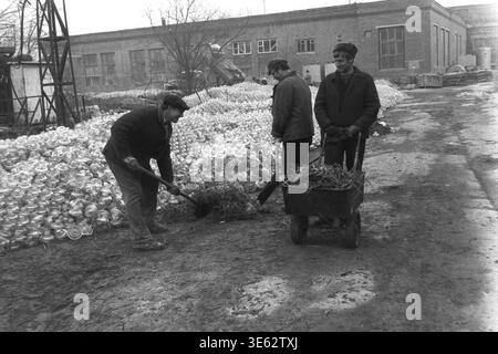 Slavyansk, 17 avril 1982, armature-isolateur usine. Trois ouvriers masculins souriants nettoient le territoire de l'usine à l'aide d'une pelle pour charger de l'herbe sèche et des débris organiques dans une petite brouette pendant le sous-botnik communiste. Des piles massives d'isolants en verre transparent sont visibles à l'arrière-plan près du bâtiment en briques. Une authentique photographie d'archives historiques véhiculant l'esprit joyeux du travail bénévole collectif, la vie quotidienne industrielle soviétique authentique, le travail d'équipe amical et le Donbass paisible. Banque D'Images