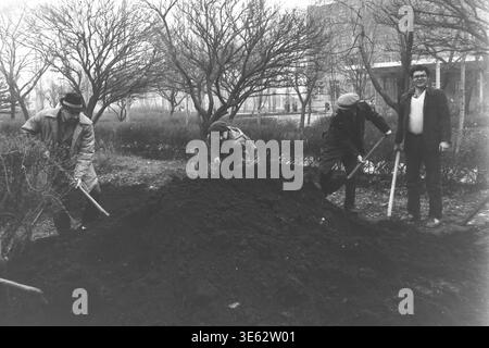 Slavyansk, 17 avril 1982, armature-isolateur usine. Quatre ouvriers masculins d'usine pelletent énergiquement et nivelent un grand tas de terre fraîche et sombre dans un espace extérieur vert pendant le subbotnik communiste de masse. L'équipe travaille activement à améliorer et aménager le territoire autour de l'entreprise industrielle un jour de printemps. Une authentique photographie d'archives historiques véhiculant l'esprit actif du travail bénévole collectif physique, la vie quotidienne de fabrication soviétique authentique, le travail d'équipe et le Donbass paisible. Banque D'Images