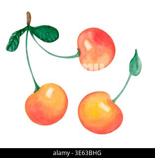 Cerises aquarelles isolées sur blanc Banque D'Images