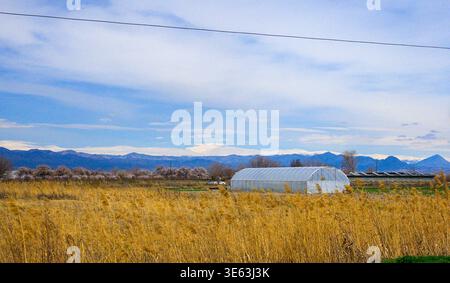 Grande serre blanche se dresse dans un champ doré de hautes herbes. Des montagnes lointaines et un ciel bleu avec des nuages sinueux encadrent la scène. Le paysage se sent Banque D'Images