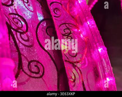 Macro-photographie en gros plan extrême d'ailes décoratives translucides magenta-rose éclatantes ou d'un tissu présentant une spirale tourbillonnante noire complexe et Banque D'Images