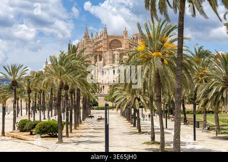 Église Cathédrale de Majorque Catedral de Palma de Mallorca architecture la Seu voyage en Espagne. Banque D'Images