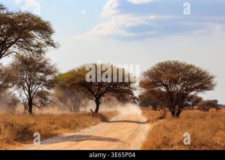 Route dans le parc national de Tarangire en Tanzanie, Afrique Banque D'Images