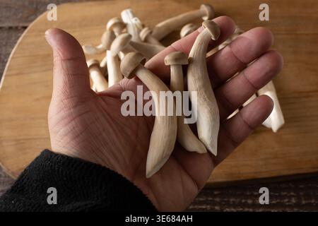 Une vue de haut en bas d'une main tenant un tas de gros champignons shimeji. Banque D'Images