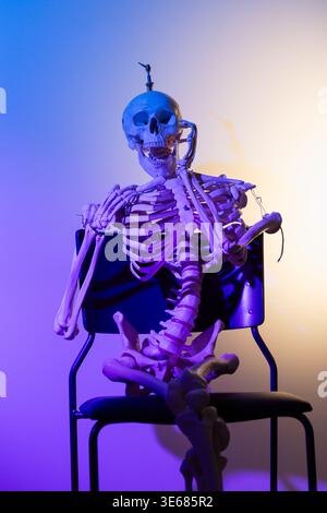 Un modèle de squelette humain est assis sur une chaise noire, illuminé par des lumières violettes, bleues et jaunes vibrantes. Banque D'Images