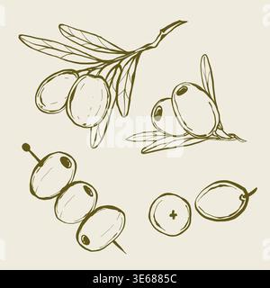 Un ensemble d'illustrations vectorielles par olives dans le style lineart. Élégante ligne d'illustration botanique. Idéal pour tout design, menu, icône, logo, textiles Illustration de Vecteur