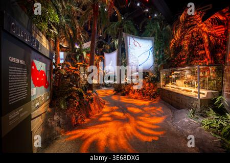 Exposition « Guadalcanal : Enfer Vert » Immersion dans une jungle de palmiers à La Nouvelle-Orléans, États-Unis | LA NOUVELLE-ORLÉANS, Louisiane — Un éclairage dramatique et des palmiers artificiels imposants simulent une jungle du Pacifique dense à l'intérieur de l'exposition « Guadalcanal : Enfer Vert » de la galerie Road to Tokyo. Ce récit environnemental immersif éduque les visiteurs sur le premier débarquement amphibie majeur des États-Unis de la Seconde Guerre mondiale en août 1942, où les Marines ont fait face à une chaleur extrême, à des maladies et à un terrain hostile. L'invasion stratégique reposait fortement sur des barges de débarquement innovantes fabriquées localement à La Nouvelle-Orléans par Higgins Industries pour sécuriser un vital Banque D'Images