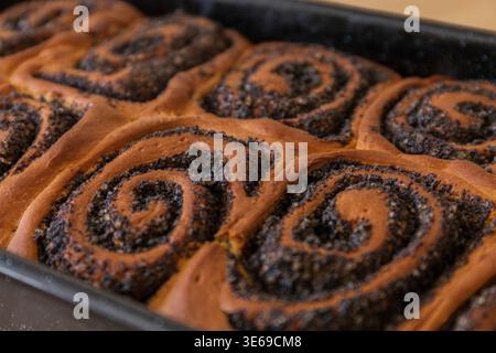 Gros plan de petits pains sucrés dorés garnis de graines de pavot. Pâtisserie fraîche faite maison avec texture en spirale Banque D'Images