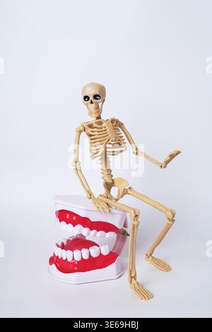 Figurine squelette ludique avec dents chatoyantes géantes dans un cadre de fond lumineux Banque D'Images