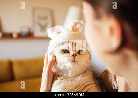 Chat domestique avec un chapeau de lapin est tenu par une personne dans un environnement intérieur chaud, avec un éclairage doux et un canapé confortable en arrière-plan Banque D'Images