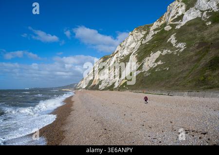 Large vue sur une plage de galets et des falaises de craie près de Douvres avec un marcheur solitaire par le rivage sous le ciel bleu. Banque D'Images