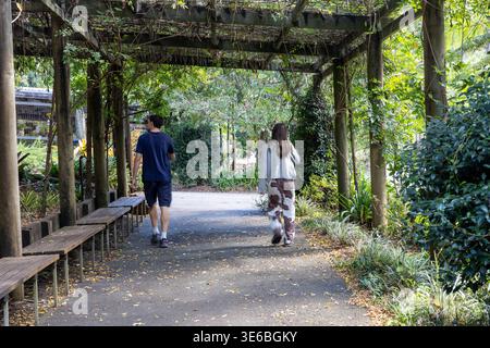 Magnifique cadre naturel aux jardins botaniques de Mount Tamborine dans l'arrière-pays de la Gold Coast, Queensland, Australie, populaire pour le tourisme et la détente Banque D'Images