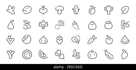 Jeu minimal d'icônes de ligne de fruits et légumes. Collection de symboles de contour d'aliments sains biologiques dessinés à la main Illustration de Vecteur