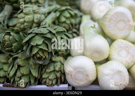 Artichauts frais et bulbes de fenouil au marché local Banque D'Images