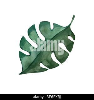 Illustration à l'aquarelle dessinée à la main d'une feuille de monstera tropicale. Cet élément botanique réaliste présente des textures vert foncé, parfaites pour l'éco Banque D'Images