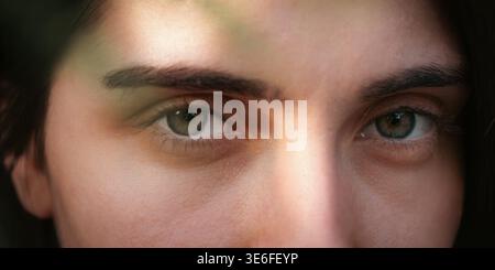 Gros plan portrait de beauté d'une jeune femme aux yeux verts et à la peau naturelle en lumière du jour douce. Composition minimale du visage féminin avec ombre douce de l Banque D'Images