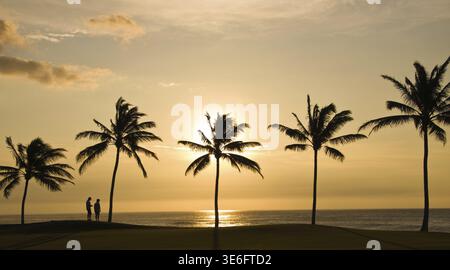 Couple surplombant le coucher de soleil reflétant sur la mer avec des palmiers au premier plan Banque D'Images