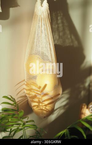 Citrons dans un sac en filet suspendu à la lumière naturelle vive Banque D'Images