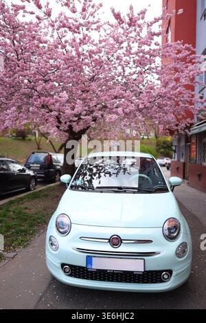 Prague, République tchèque, 3 avril 2026 : voiture compacte vert menthe garée sous un cerisier fleuri dans une rue résidentielle calme. Banque D'Images