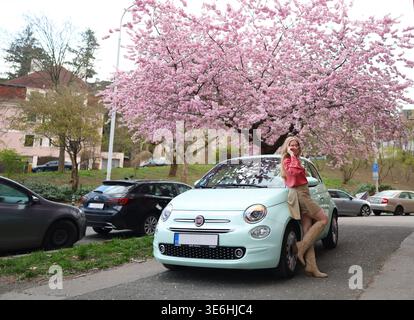 Prague, République tchèque, 3 avril 2026 : jeune femme debout en voiture avec des fleurs de sakura dans un quartier urbain. Banque D'Images
