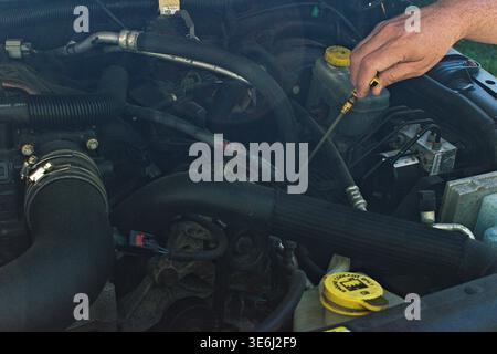 La main d'une personne tient une jauge pour vérifier le niveau d'huile dans le compartiment moteur d'une voiture, soulignant l'entretien de routine Banque D'Images