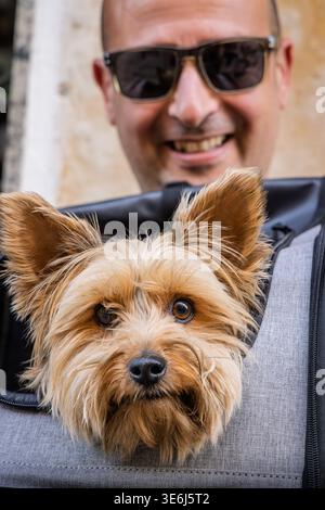 Petit chien terrier chevauchant dans un transporteur pour animaux de compagnie avec un homme souriant dans des lunettes de soleil à Salamanque, Espagne Banque D'Images