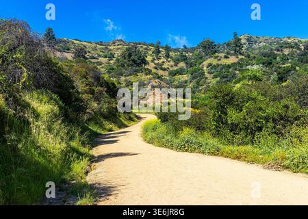 Sentier de randonnée dans Griffith Park, Los Angeles, Californie, en été avec une végétation luxuriante après les pluies hivernales Banque D'Images