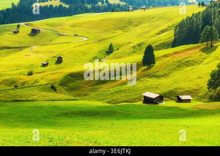 Collines verdoyantes et prairies alpines à Seiser Alm dans les Dolomites, Italie, avec des cabanes en bois dispersées et route sinueuse. Paysage rural, voyage Banque D'Images