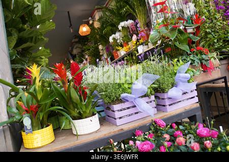 Image légèrement tournée d'un petit magasin de fleurs affichant une variété de plantes colorées en pot et en boîte à l'extérieur. Banque D'Images