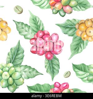 Un motif aquarelle sans couture de baies de café rouges et jaunes vertes et mûres, de grains et de feuilles.Un bouquet de baies de café de la plantation.main Banque D'Images