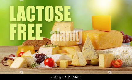 Différents types de fromages sans lactose et sans gluten sur une table en bois Banque D'Images