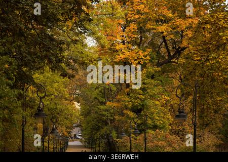 Une scène automnale sereine avec un chemin sinueux bordé de lampadaires noirs et entouré d'arbres affichant un feuillage jaune et vert vibrant und Banque D'Images