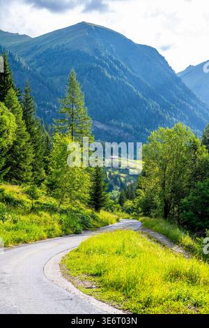 Une route sinueuse mène à travers un paysage verdoyant avec de grands arbres et des montagnes lointaines sous un ciel partiellement nuageux. La scène capture une journée d'été vibrante dans les Alpes. Banque D'Images