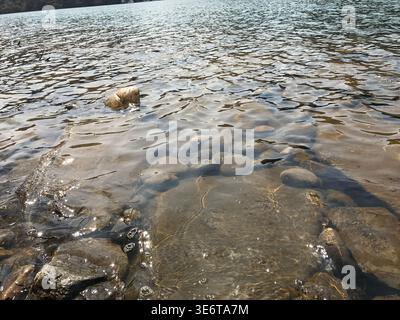 Eaux peu profondes claires avec des roches submergées et une grande pierre dans un lac calme Banque D'Images