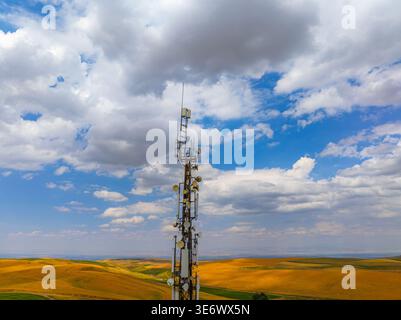 La tour de télécommunications se dresse au milieu de collines ondulantes et de champs agricoles. La scène de jour capture l'immensité et la connectivité technologique dans un Banque D'Images